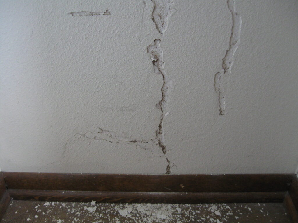 termite sounds and damage