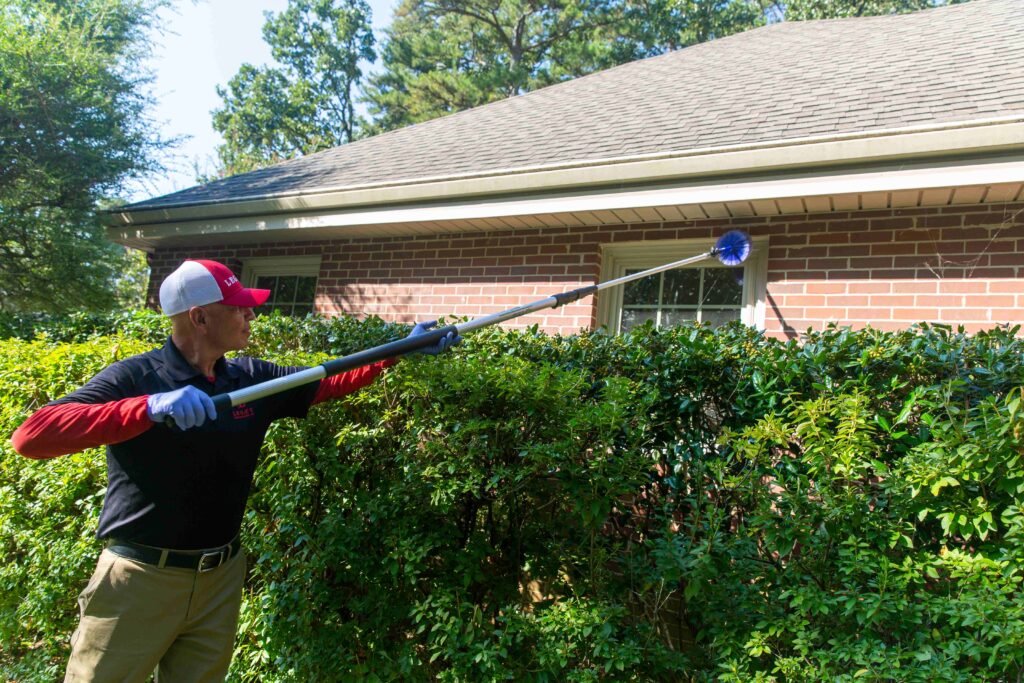 Pest-proof your home by sweeping for spiders